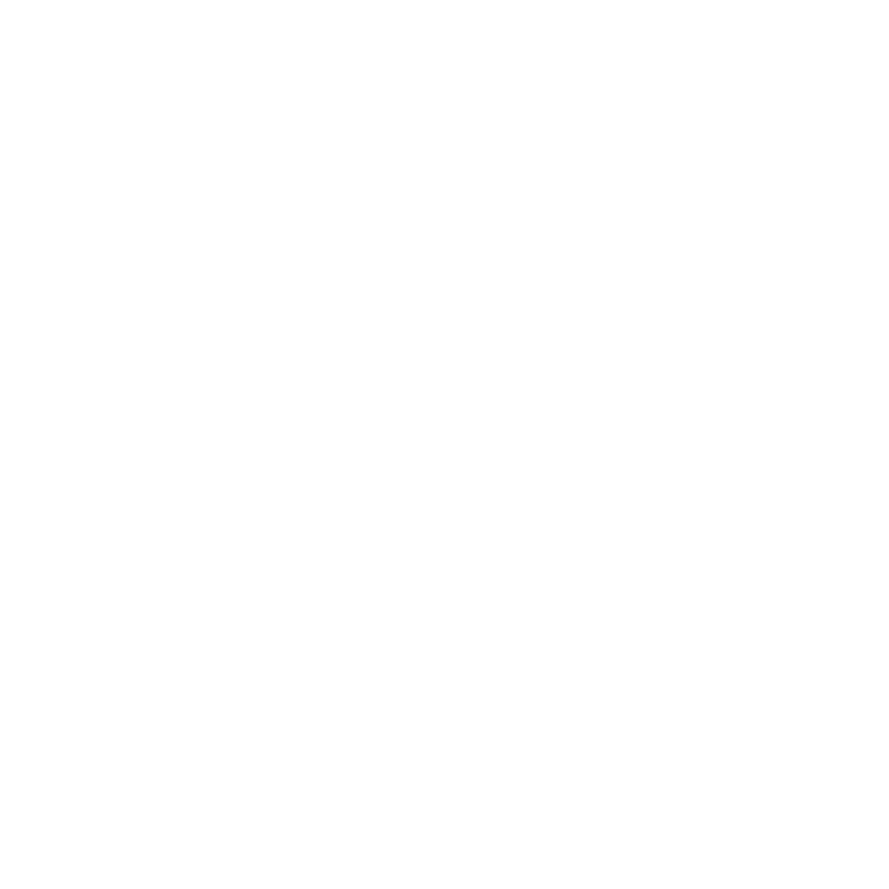 Made in New Zealand logo