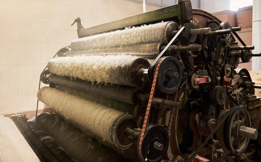 The wool